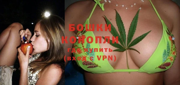 гидра Верея
