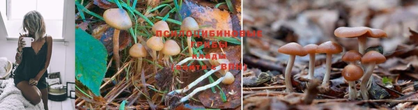 ALPHA PVP Волоколамск