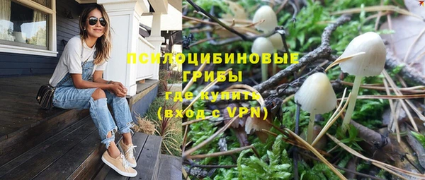 СК Бородино