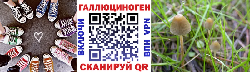 Псилоцибиновые грибы MAGIC MUSHROOMS  Березники 